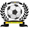 https://img.phphubei.com/img/football/team/6dc6d59af2f0962597b412473a6708ee.png