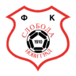 https://img.phphubei.com/img/football/team/b71b7bfab3d42c691e953977143504e5.png